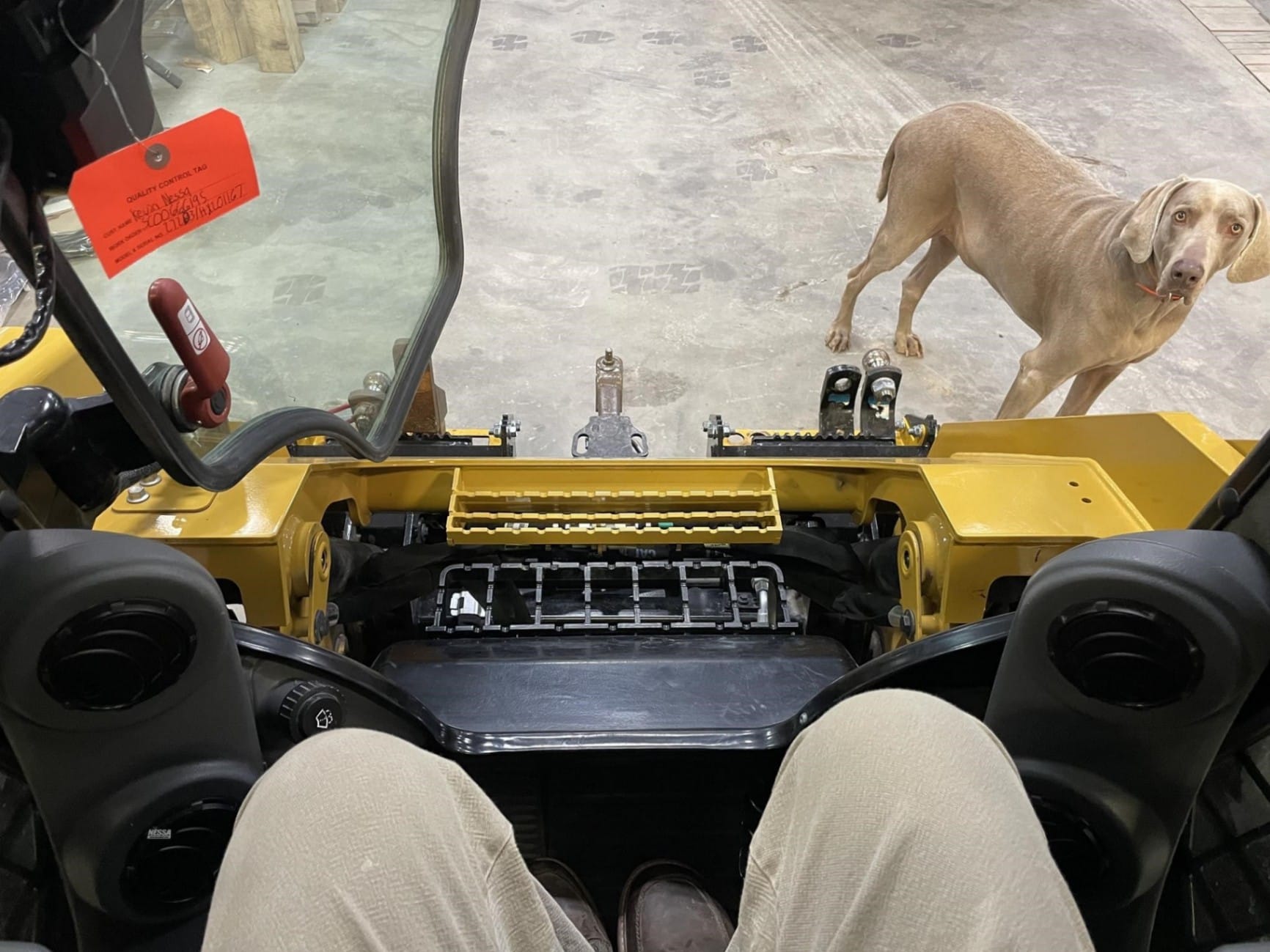 2021 Caterpillar 272D3 Skid Steer Loaders for sale in Zearing, IA - listing photo 19 of 29